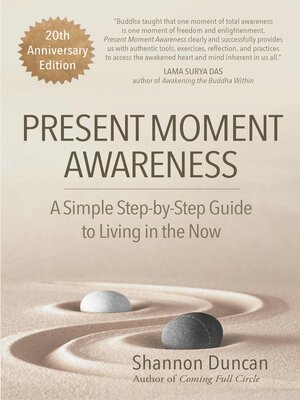 cover image of Present Moment Awareness